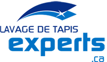 Logo Lavage De Tapis